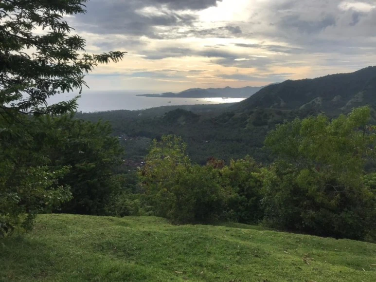 f50341c9-f7c1-4c94-bf4f-283cf88a4bb9.jpg?type=w773