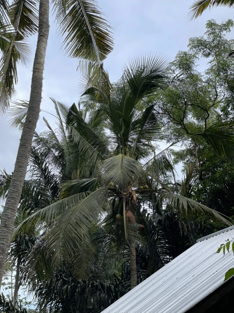 IMG_4941.jpg?type=w773