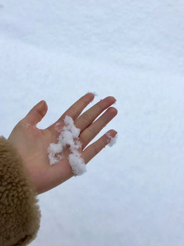 KakaoTalk_20171228_014337791.jpg?type=w773