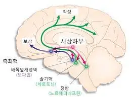 다운로드 (1).jpeg