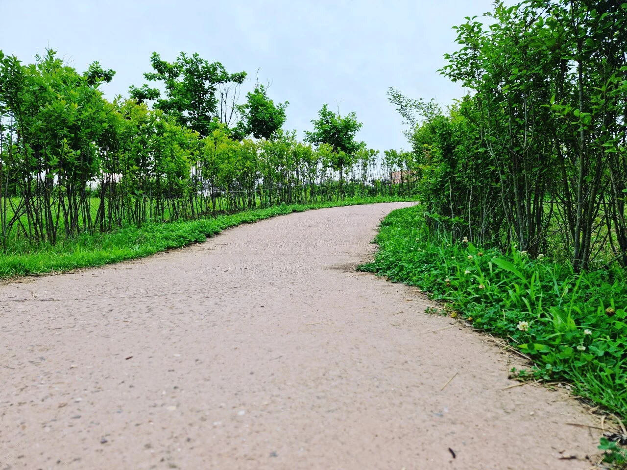 다운로드 (1).jfif