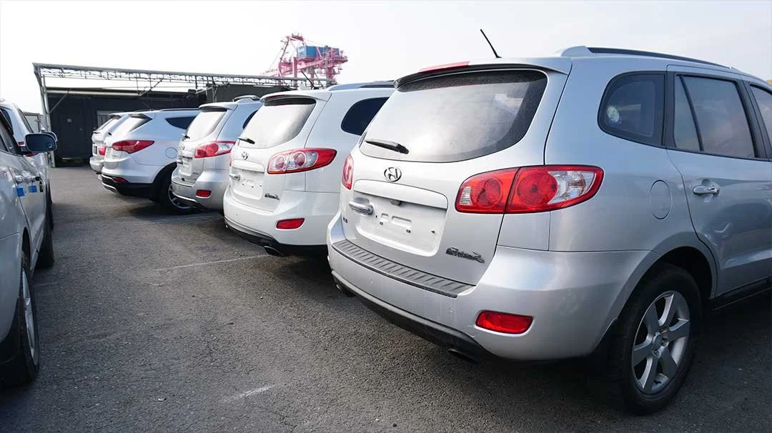 20230929_223822.jpg?type=w1200