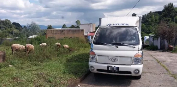 image.png?type=w1200