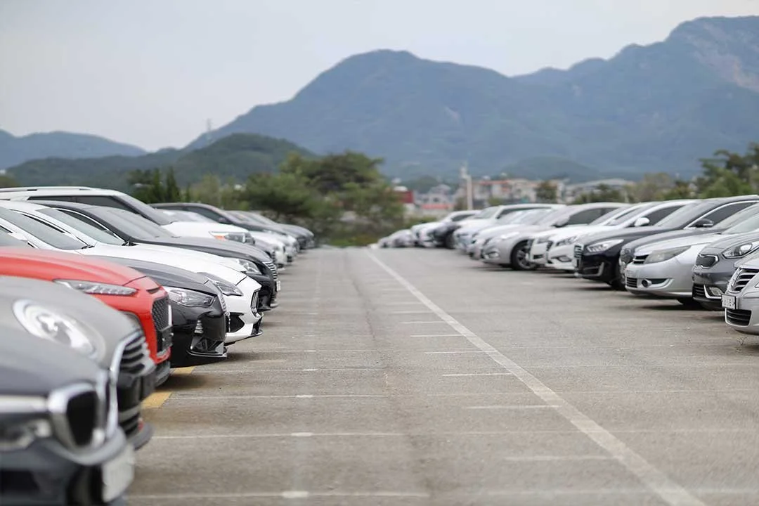 20230924_113708.jpg?type=w1200