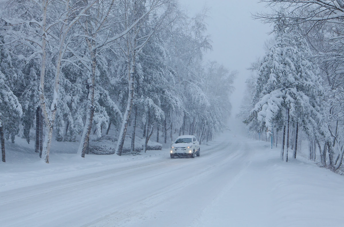 image.png?type=w1200