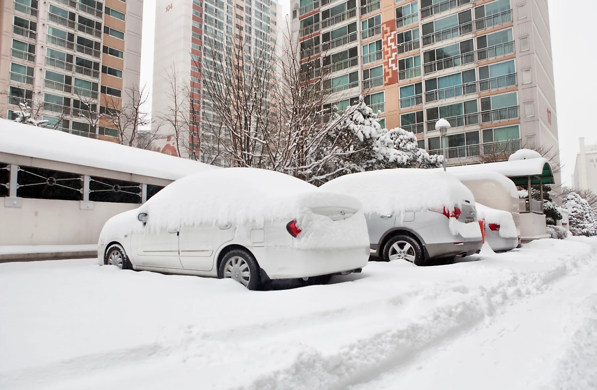 image.png?type=w1200