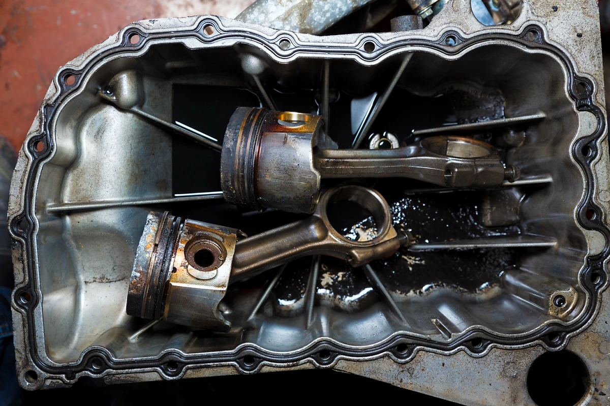 image.png?type=w1200