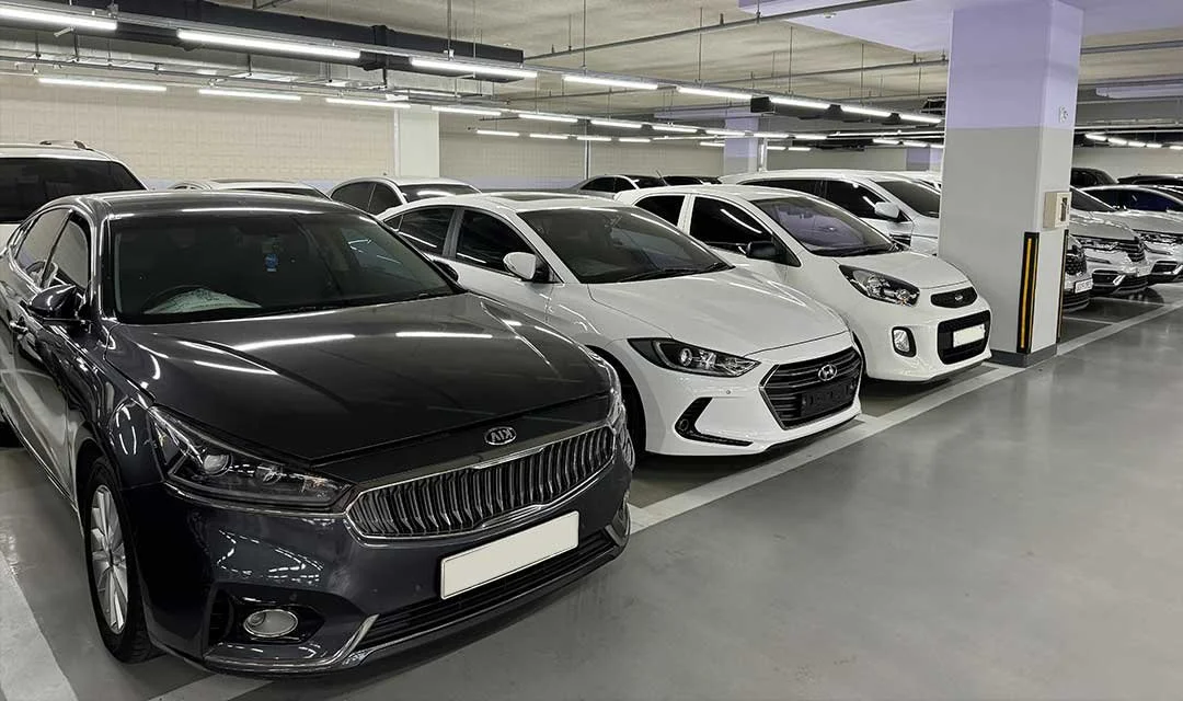 20230929_164152.jpg?type=w1200