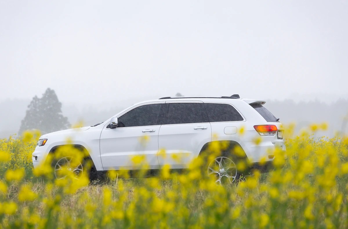 image.png?type=w1200