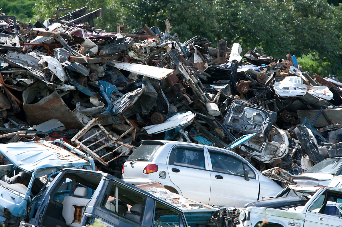 image.png?type=w1200