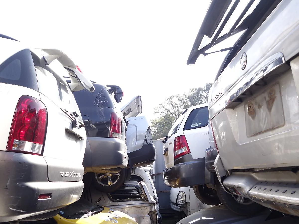 _DSC3099.JPG?type=w1200