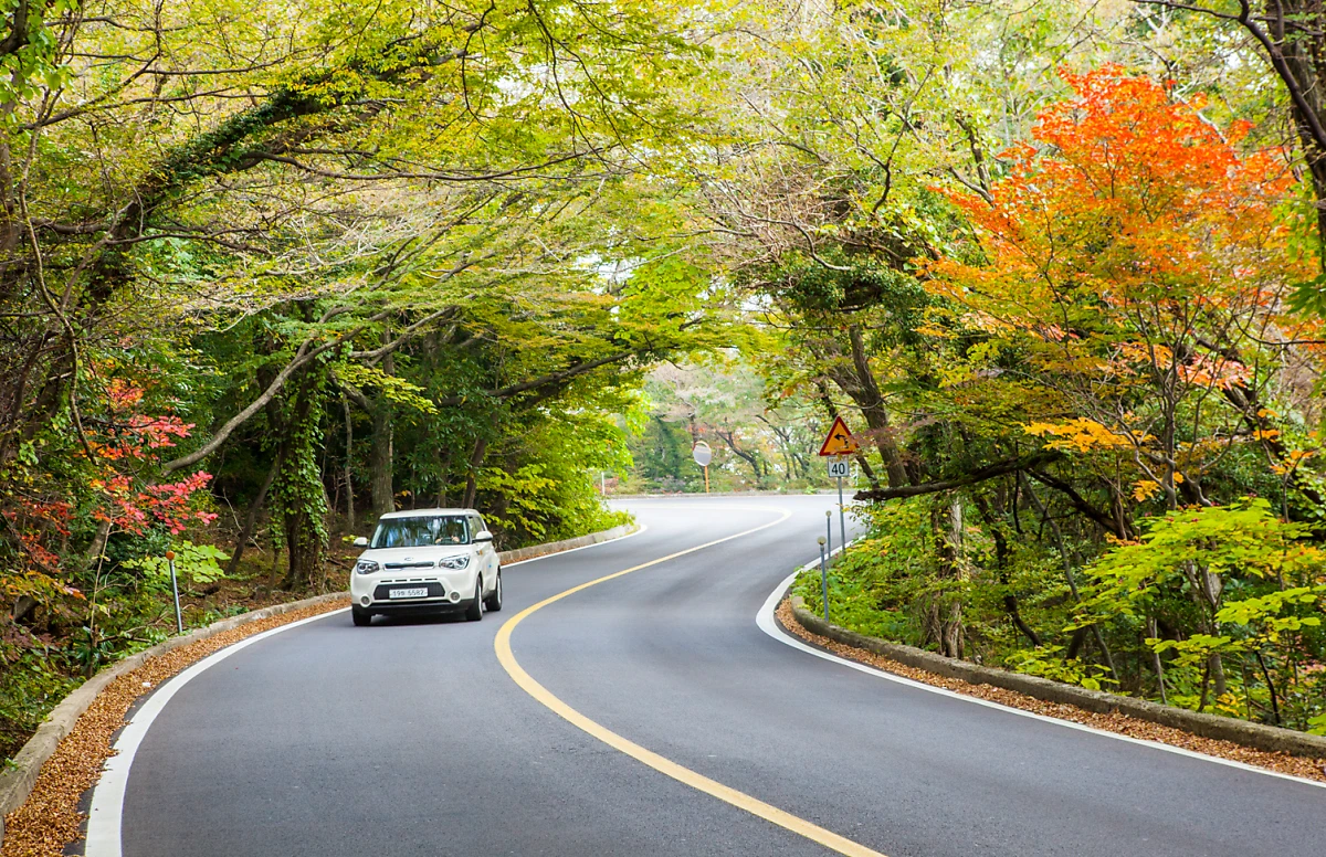 image.png?type=w1200