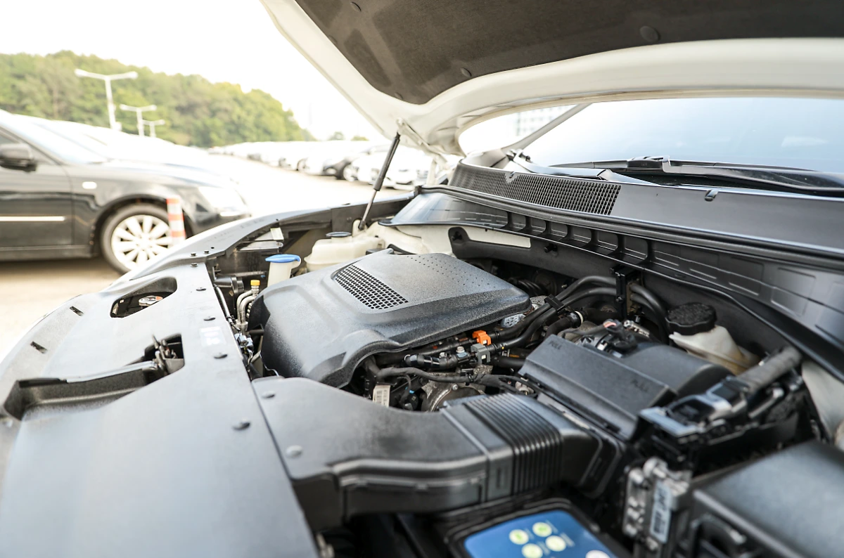 image.png?type=w1200