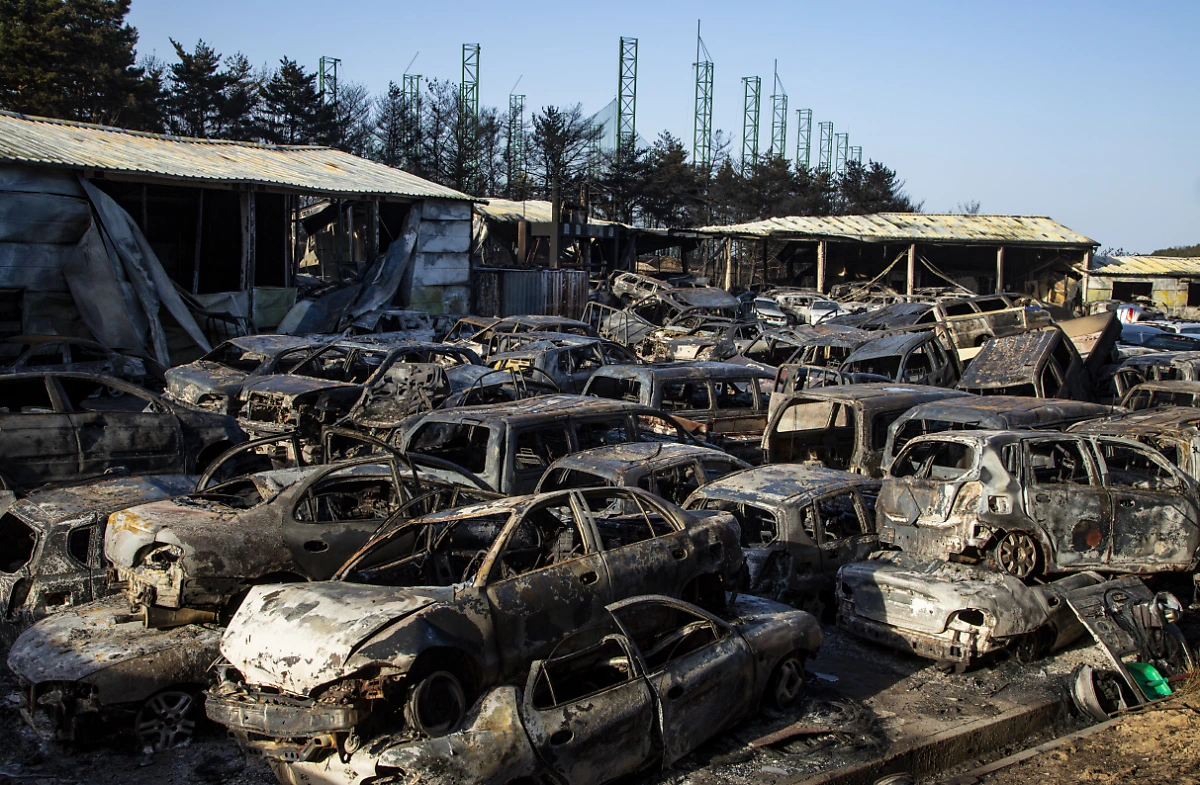 image.png?type=w1200