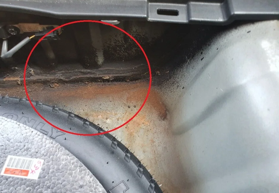 %ED%81%AC%EA%B8%B0%EB%B3%80%ED%99%98_aa111111KakaoTalk_20200618_194939427_01%E3%84%B4%E3%85%87%E3%84%B9%E3%85%87%E3%84%B4%E3%84%B9%E3%84%B4%E3%85%87.jpg?type=w1200