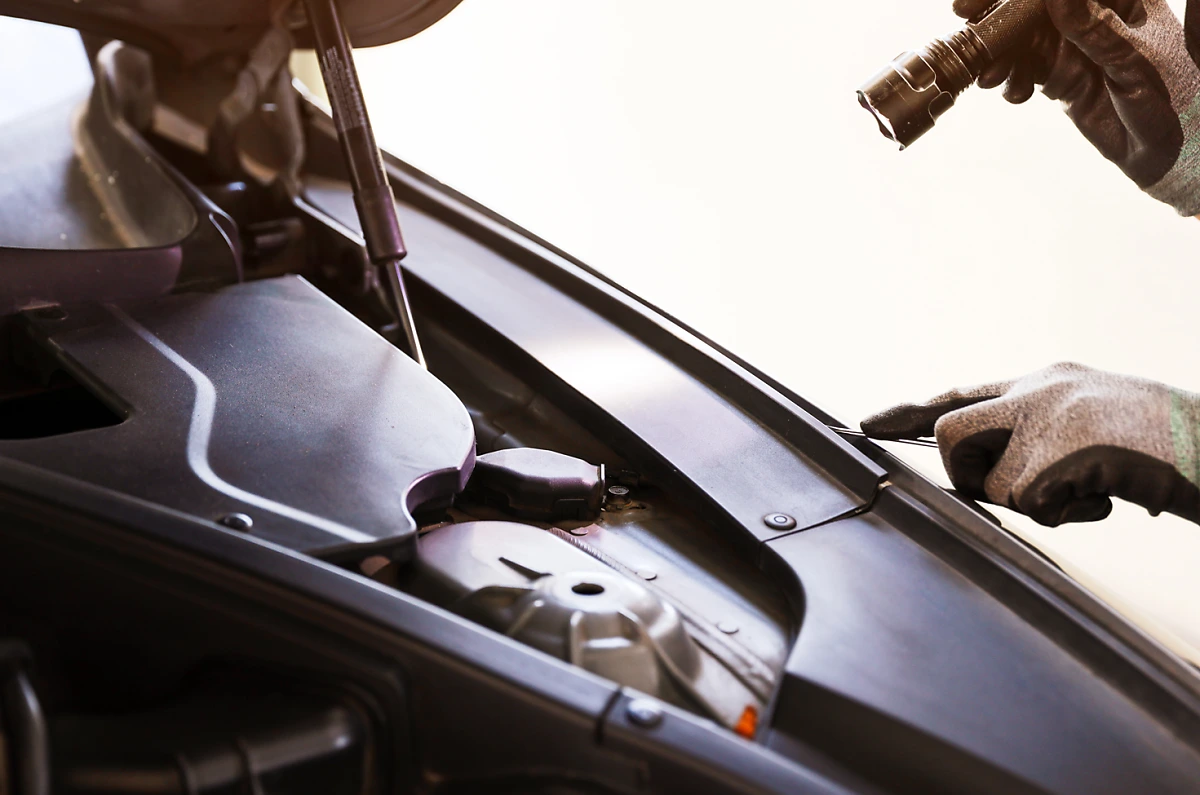 image.png?type=w1200