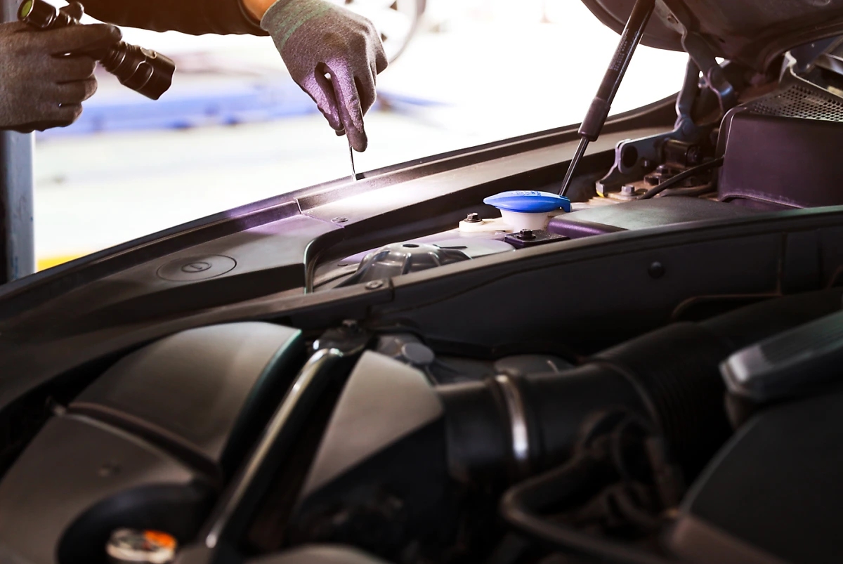 image.png?type=w1200