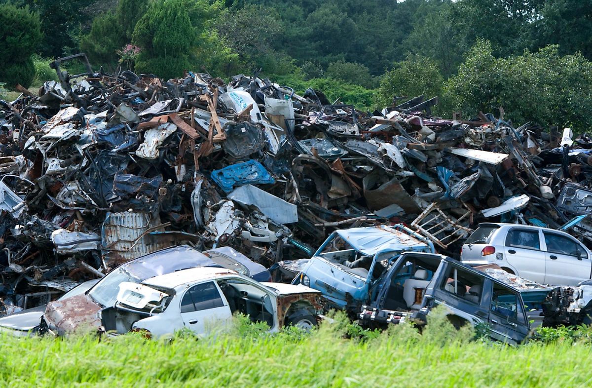 image.png?type=w1200