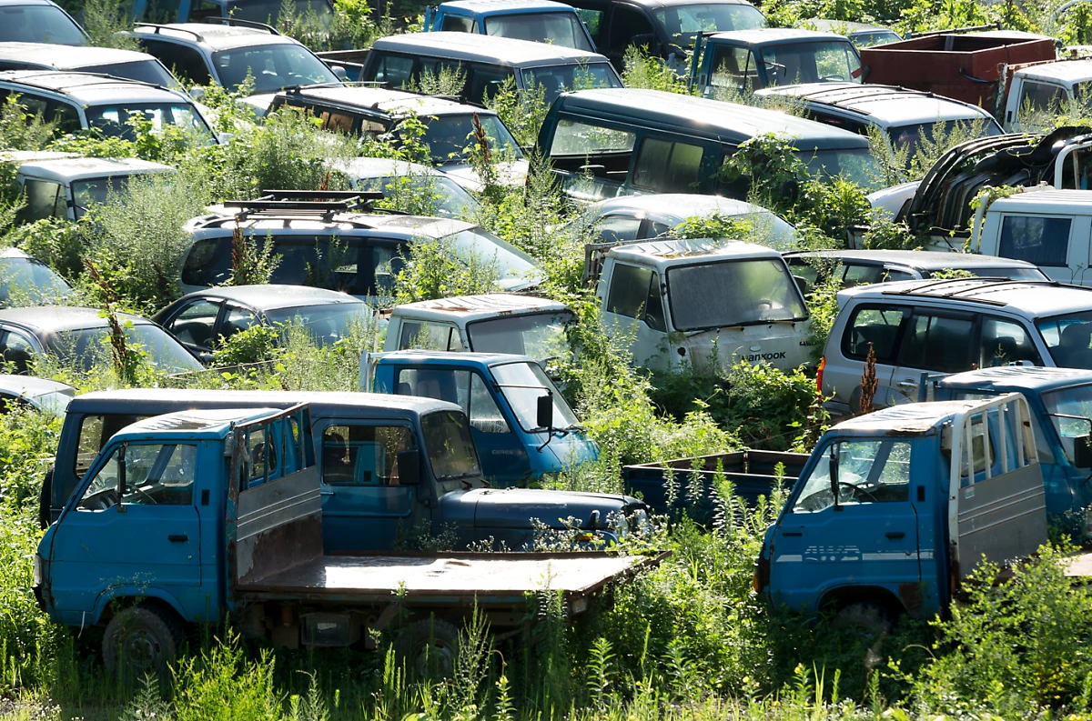 image.png?type=w1200