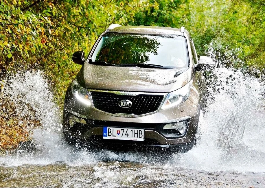 image_8695616961594175409689.jpg?type=w1200