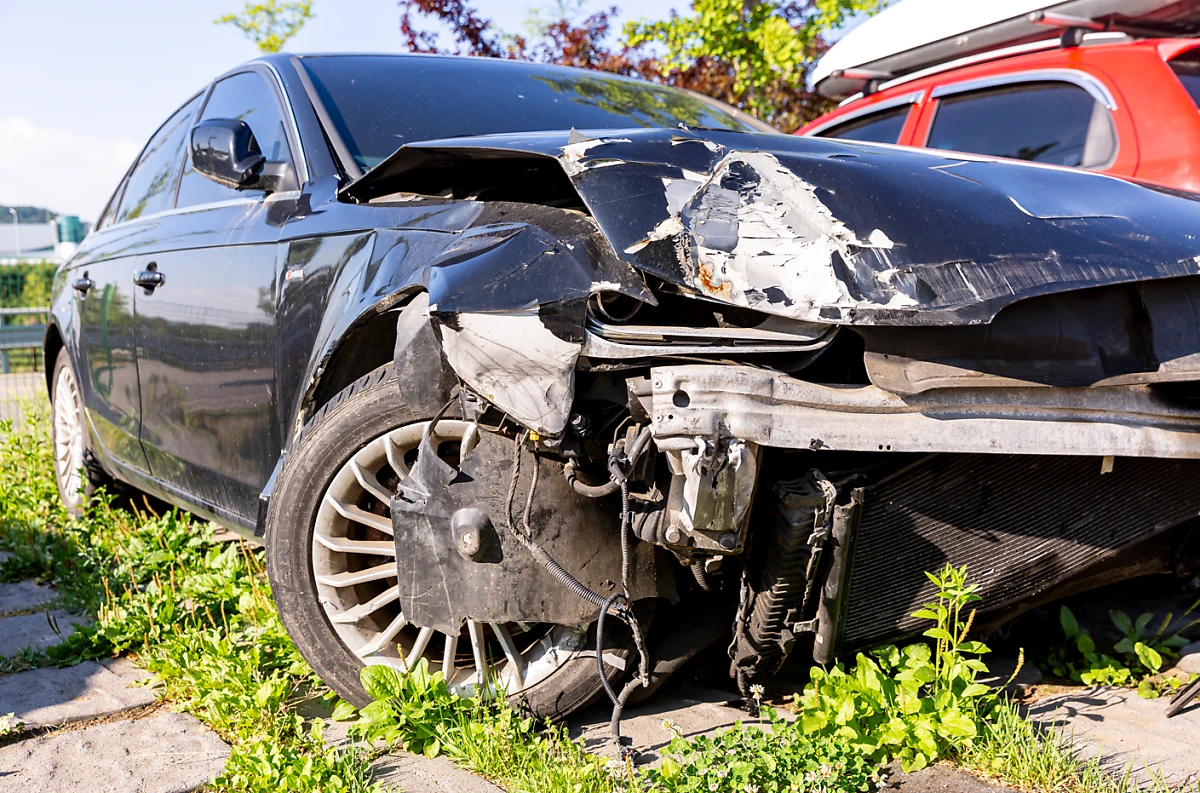 image.png?type=w1200