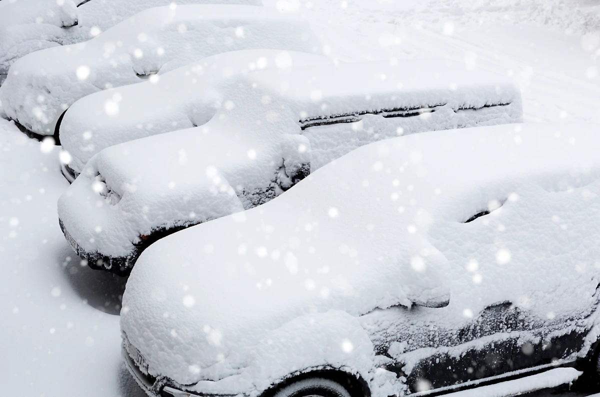 image.png?type=w1200