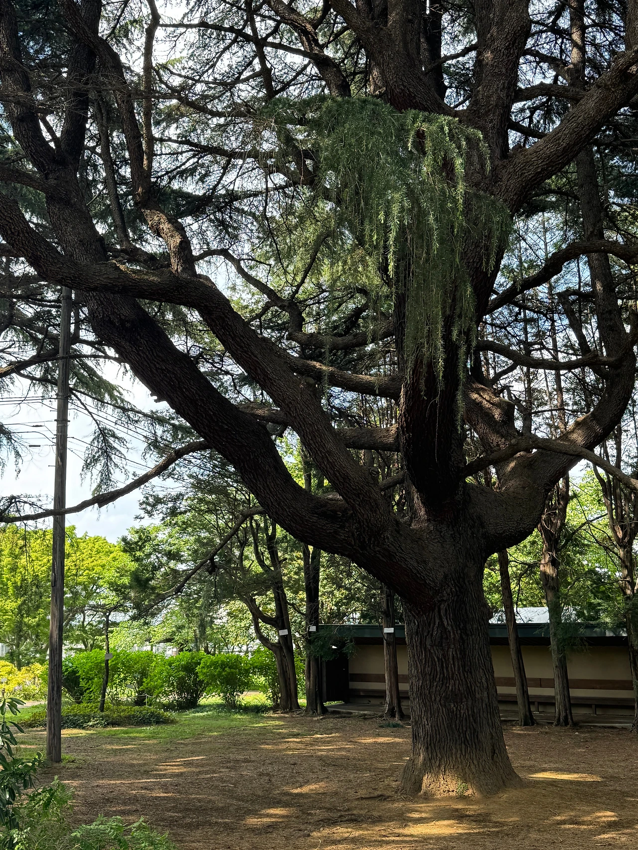 KakaoTalk_Photo_2025-08-27-14-59-45 002.jpeg