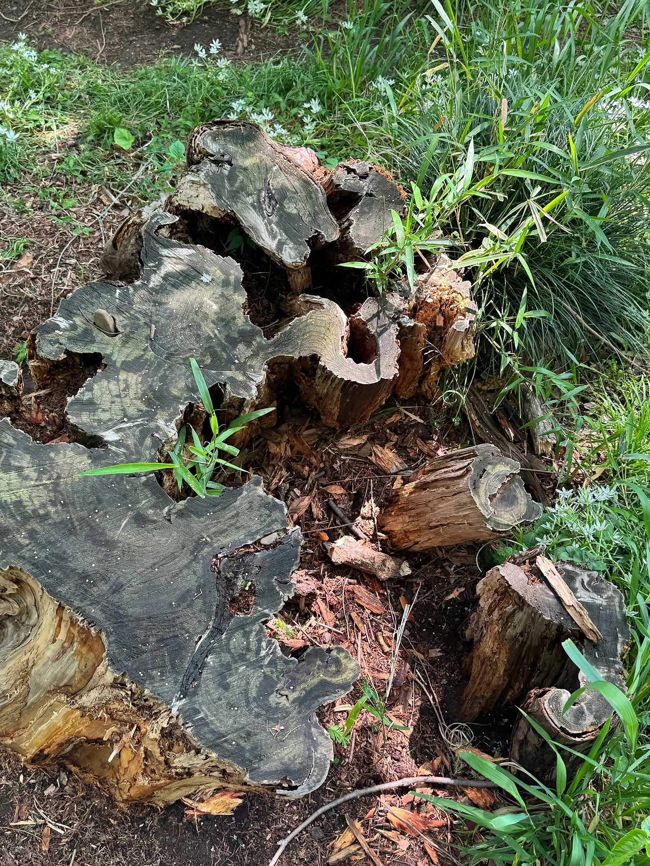 KakaoTalk_Photo_2025-08-27-14-31-54 008.jpeg