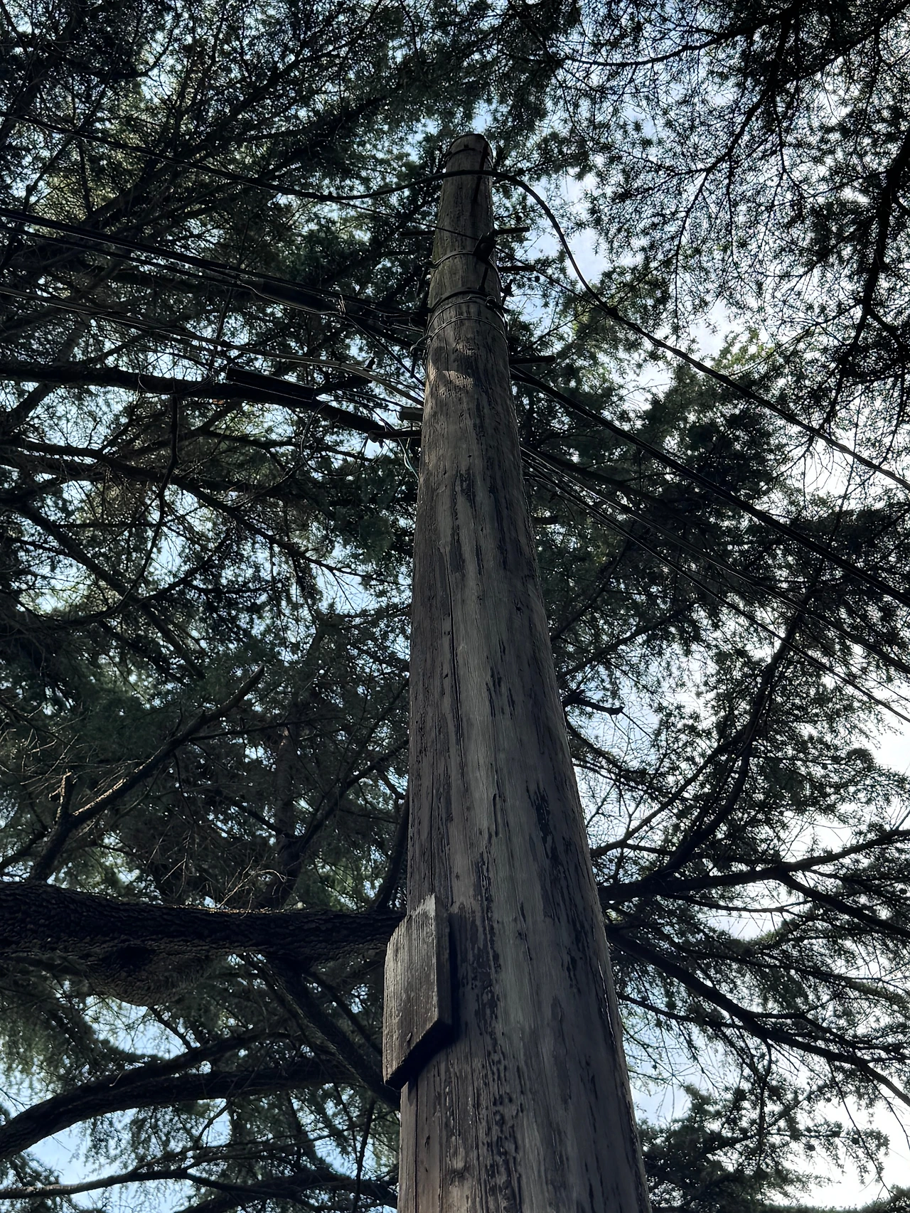 KakaoTalk_Photo_2025-08-27-14-59-44 001.jpeg