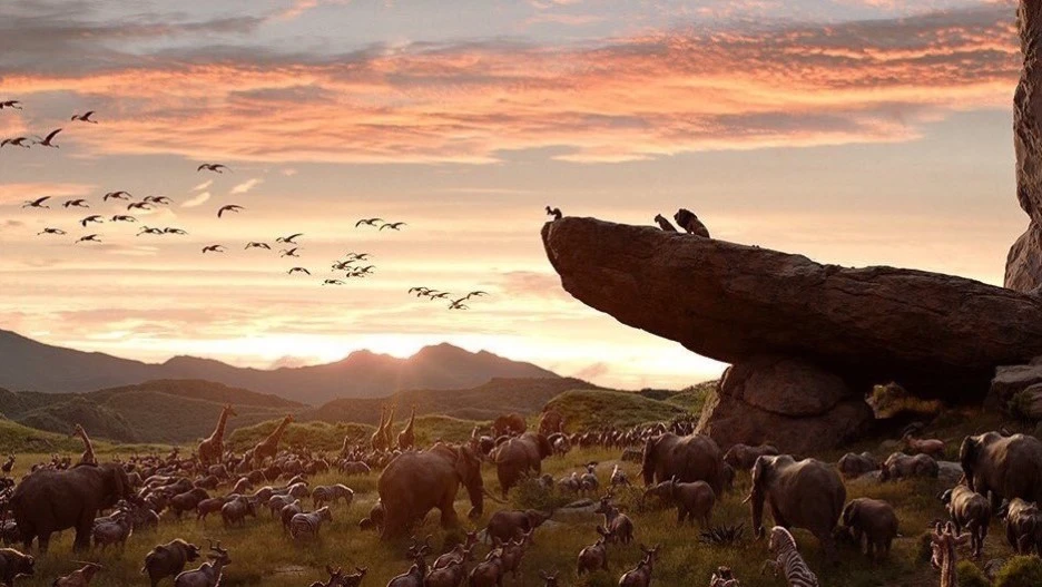 2f4e8644-d0bb-4fd9-87de-600cb3265935.jpg?type=w1