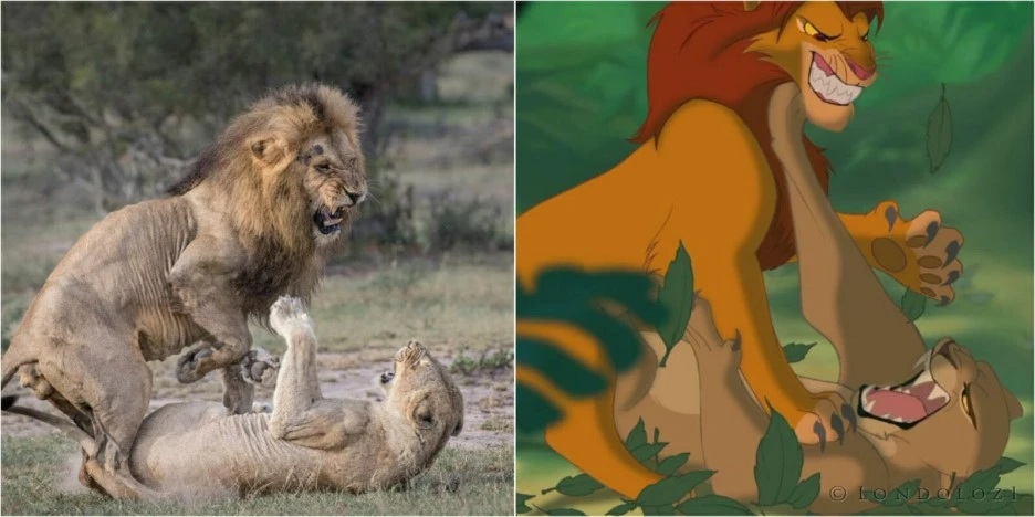 lionking8-1598x799.jpg?type=w1