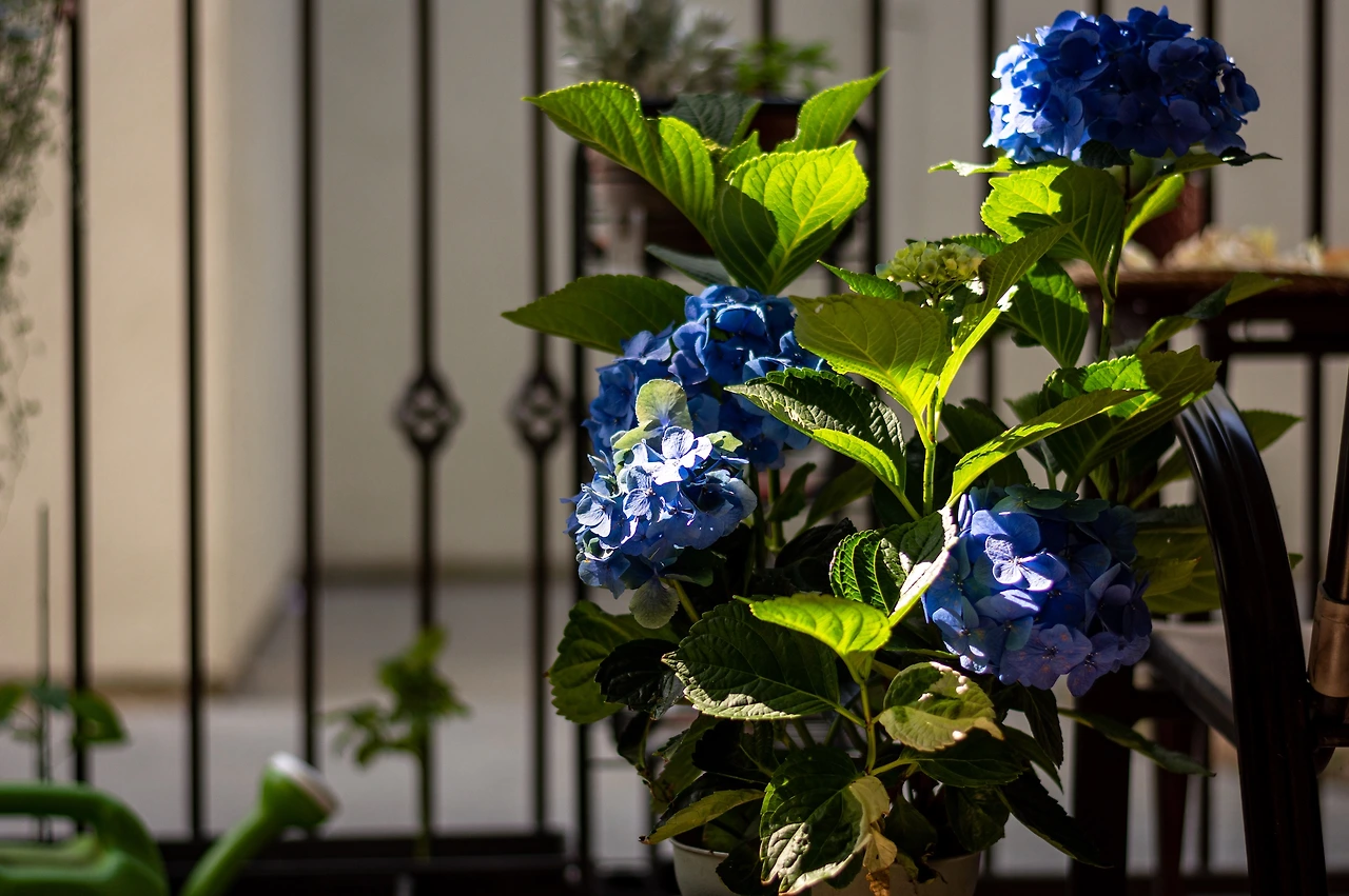 Screen Shot 2020-06-30 at 5.40.46 PM.jpeg