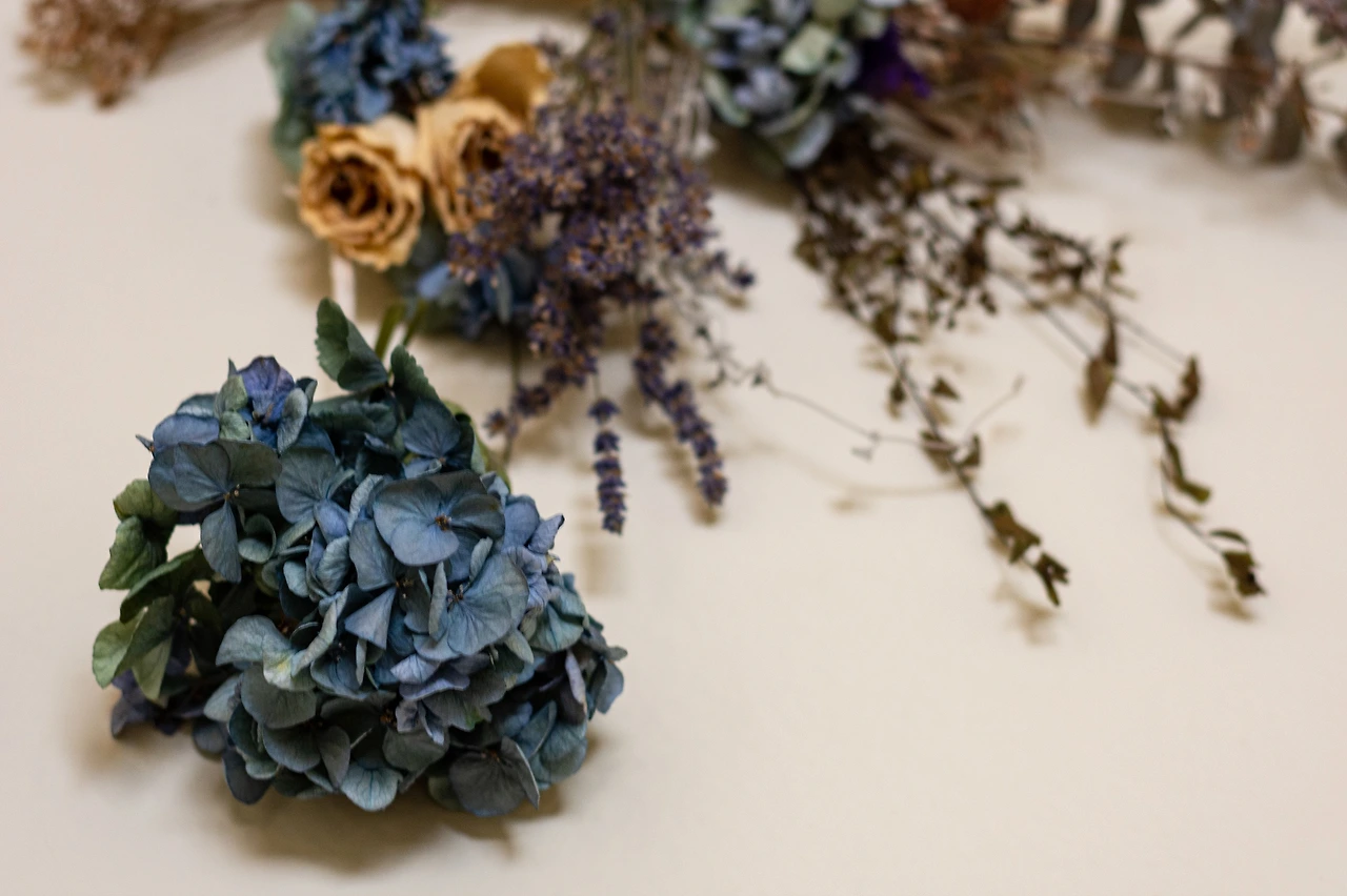 Screen Shot 2020-08-16 at 3.13.00 PM.jpeg