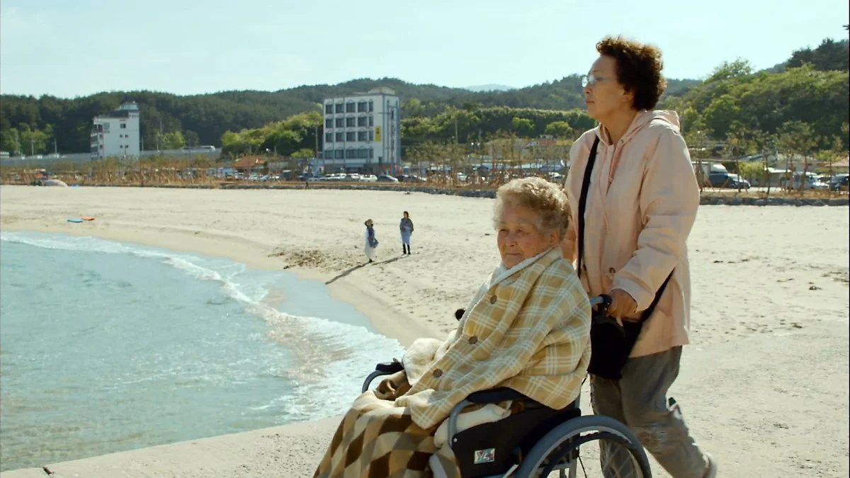 image_4199439431643888147919.jpg?type=w1200