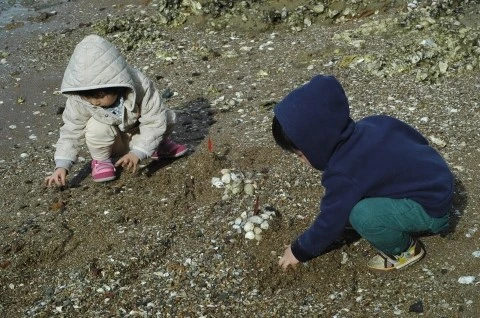 DSC_0429.JPG?type=w1