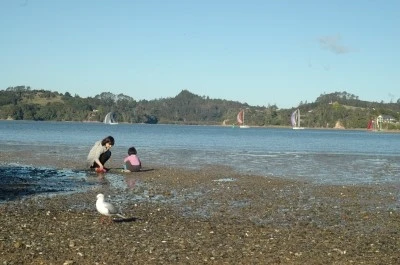 DSC_0186.JPG?type=w1