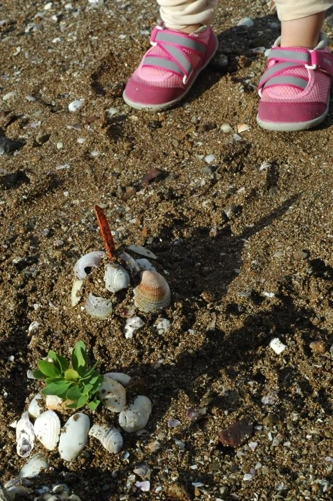 DSC_0444.JPG?type=w1