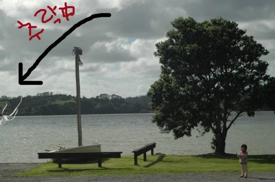 DSC_0213.JPG?type=w1