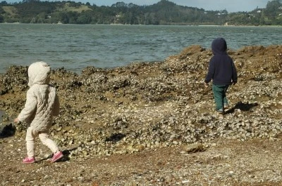 DSC_0399.JPG?type=w1