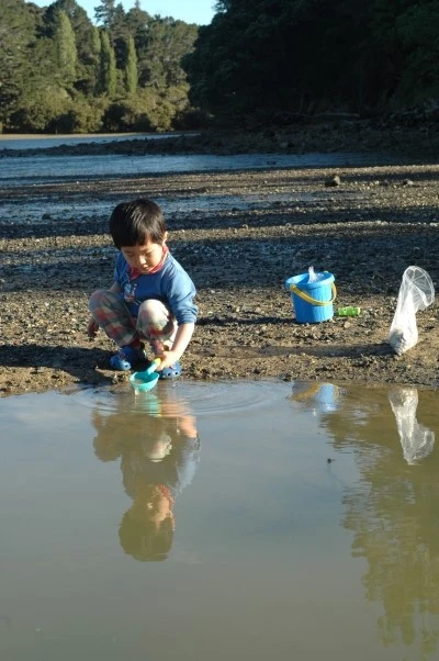 DSC_0175.JPG?type=w1