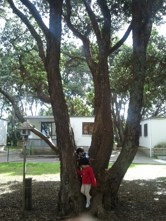 2012%B3%E2_5%BF%F9_1141.jpg?type=w1