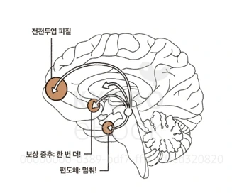 %ED%99%94%EB%A9%B4_%EC%BA%A1%EC%B2%98_2025-02-17_065800.png?type=w773