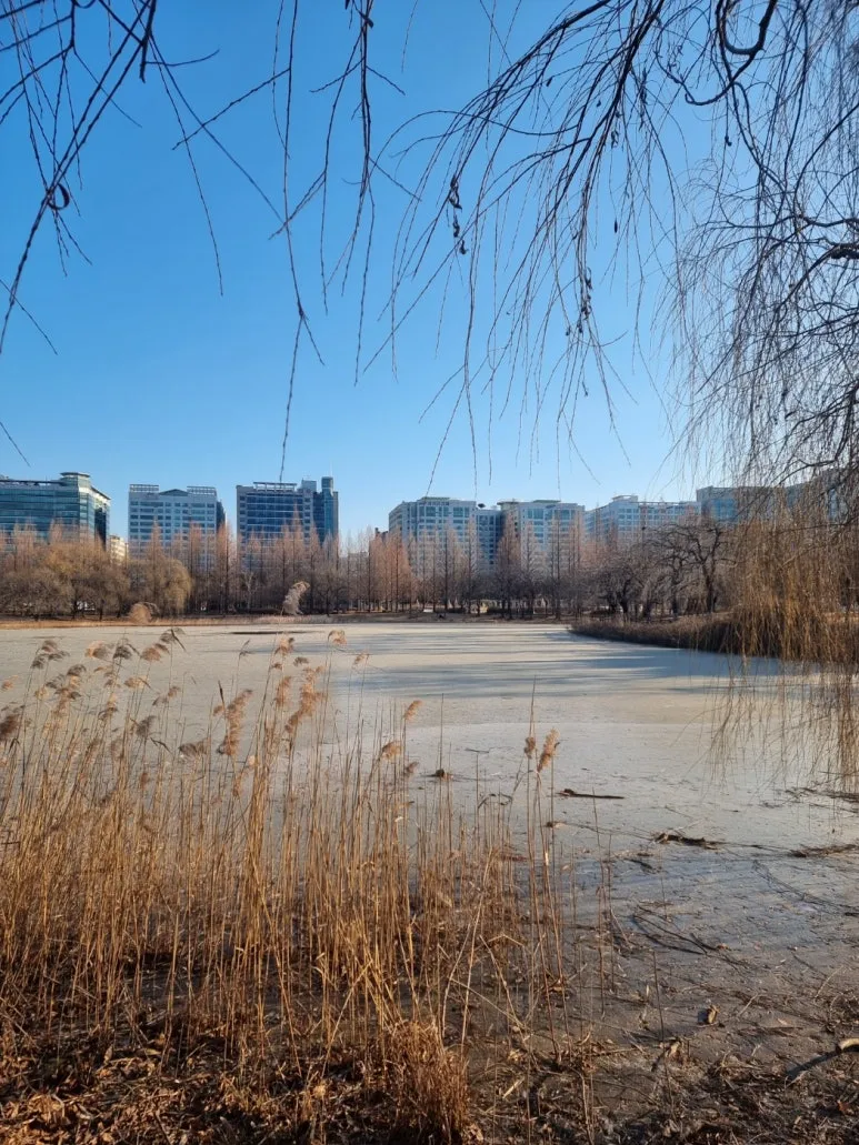 KakaoTalk_20260111_124629688.jpg?type=w773