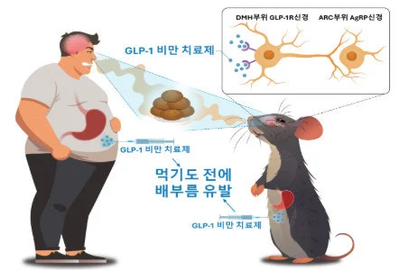 %EB%8B%A4%EC%9A%B4%EB%A1%9C%EB%93%9C_(4).jpeg?type=w773