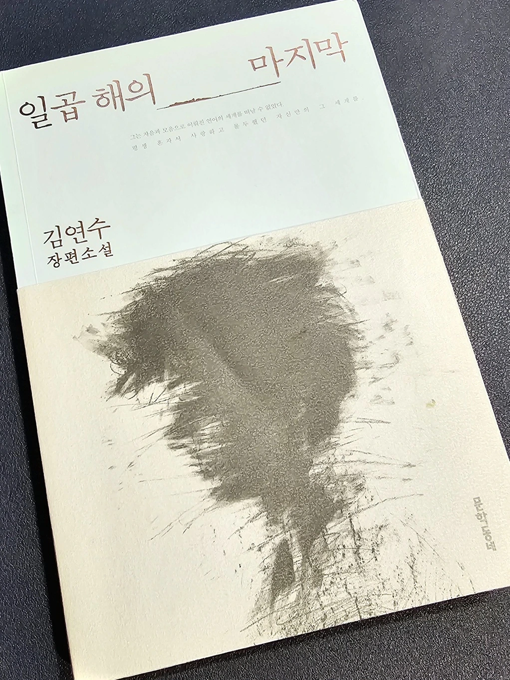 KakaoTalk_Photo_2024-07-31-23-24-36 003.jpeg