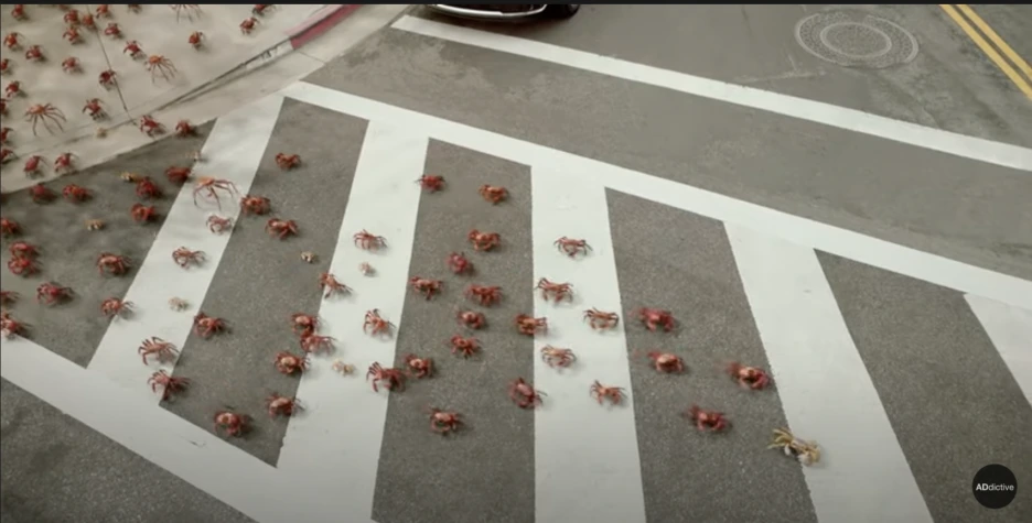 %EC%8A%A4%ED%81%AC%EB%A6%B0%EC%83%B7_2022-02-24_%EC%98%A4%ED%9B%84_7.20.46.png?type=w1