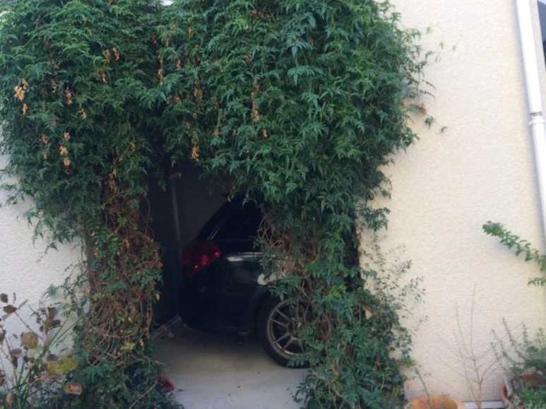 IMG_1991.JPG?type=w773