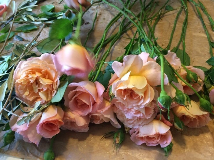 attachImage_2912756931.jpeg?type=w773