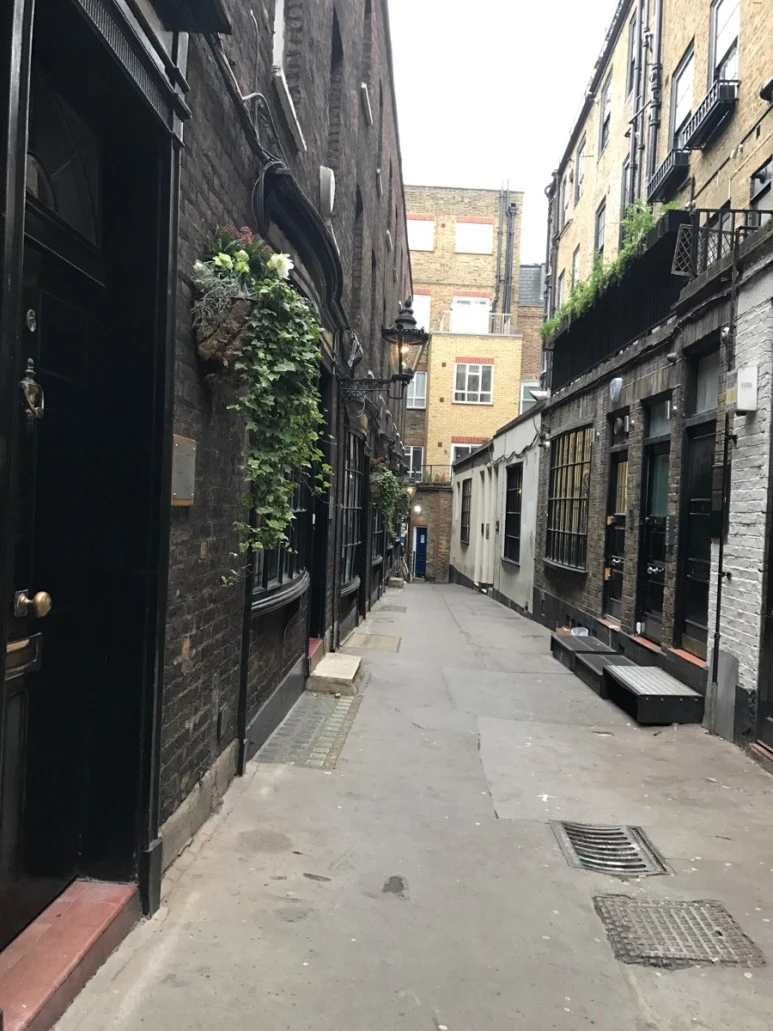 IMG_0685.jpg?type=w773