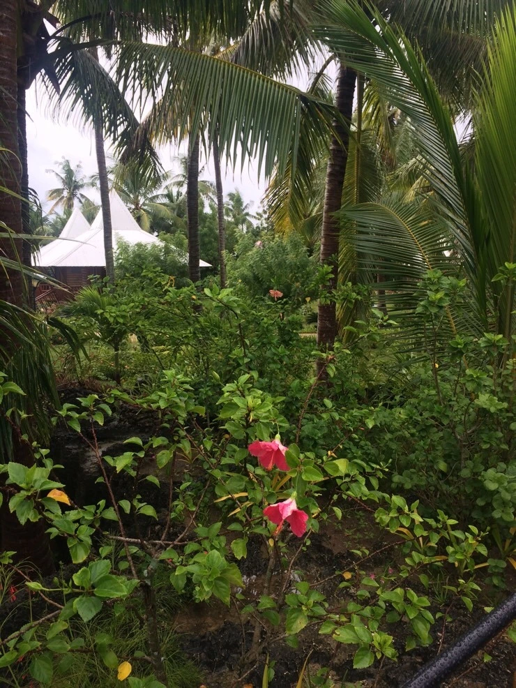 attachImage_752598159.jpeg?type=w2